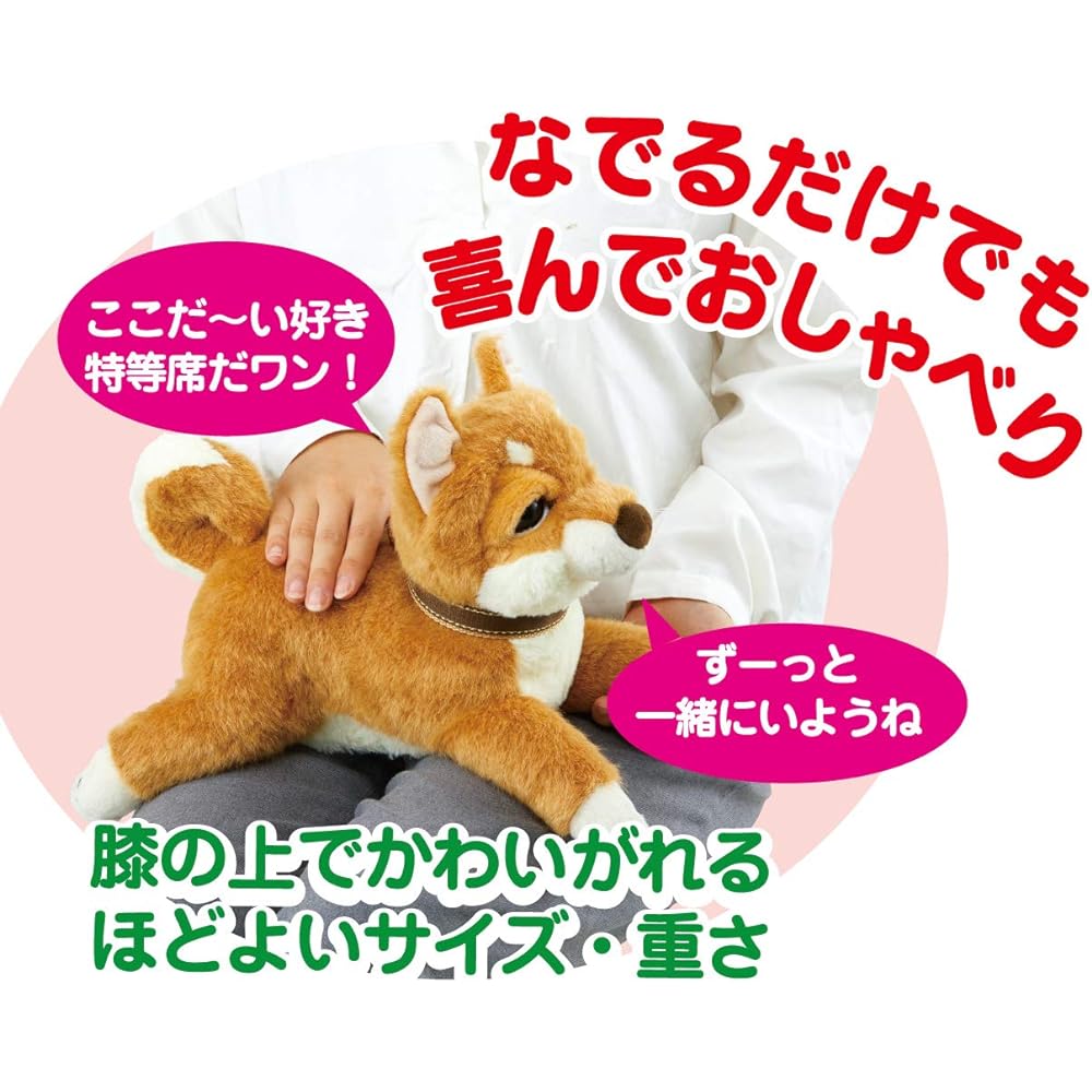 A relaxing conversation that starts with a good morning, a Shiba Inu dog and a chatty communication pet, IWAYA