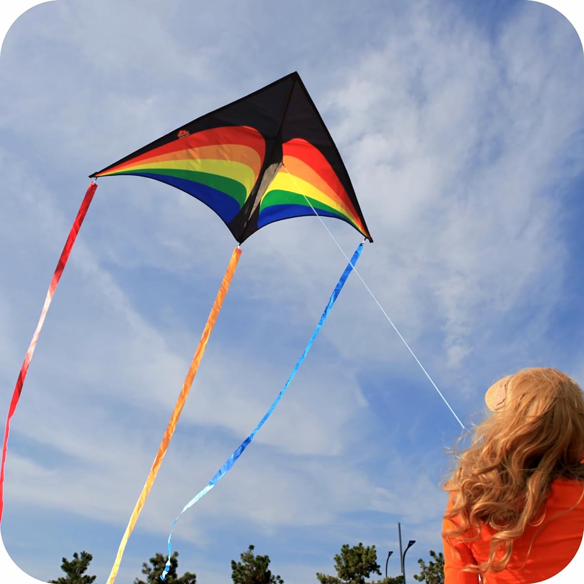 ORGCLDKT Rainbow Cruiser Delta Kite - Rainbow Knight, 57" x 31", easy to fly kite for kids, adults, girls, and boys. beach kite. Easy to install, stacking kit, functional and decorative tail.