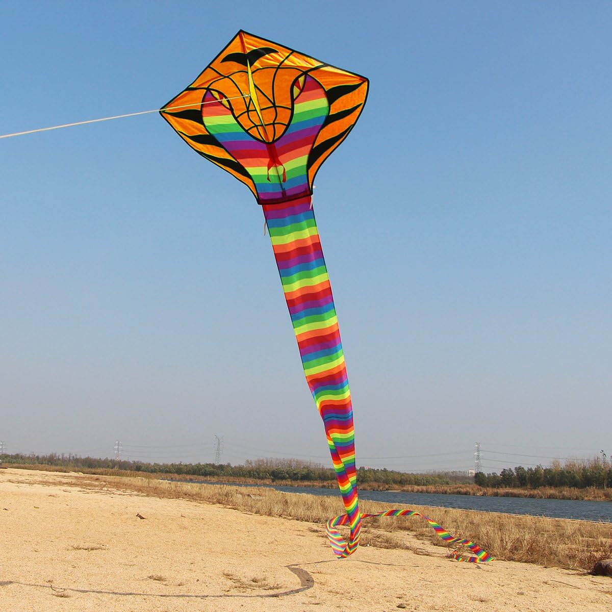 Besra 16m Large Cobra Snake Kite, 52ft Colorful Rattlesnake Kite with 15m Long Tail, Outdoor Fun Sports, Flying Tools Included (Rainbow)