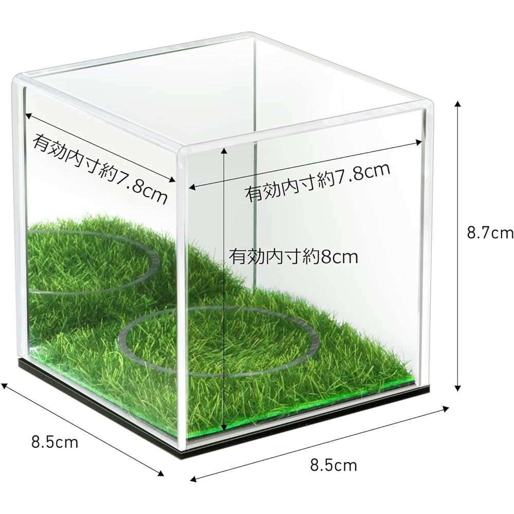 Baseball Ball Case Signed Ball Case Baseball Acrylic Display Case Protection Exhibition Dustproof Square Collection Case Transparent Case Set of 2