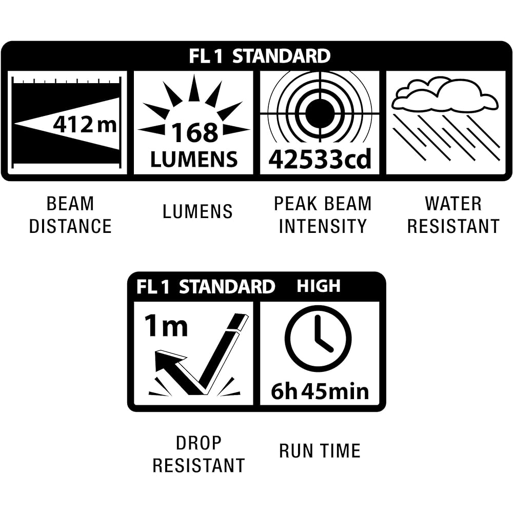 MAG-LITE 2D Cell (2 AA Batteries) LED Flash Light Silver 2 D Batteries ST2D106 [Parallel Import]