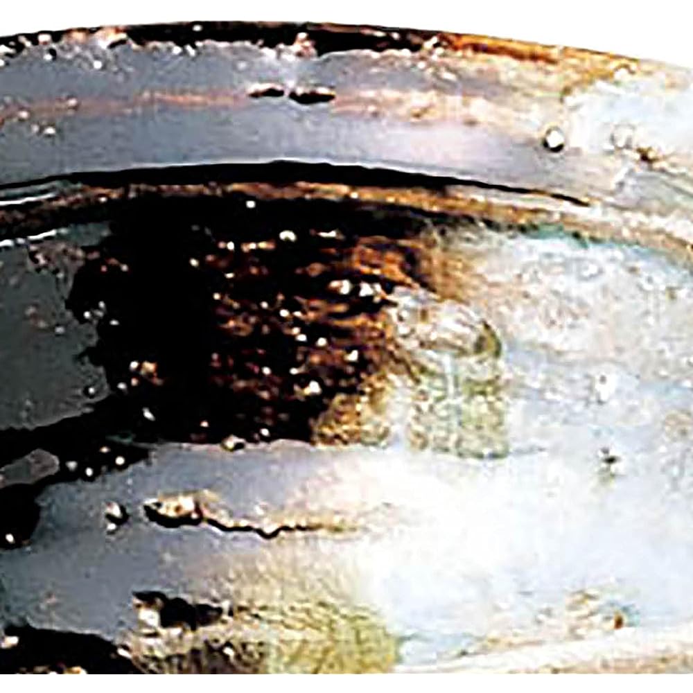 Tsutsuegama Korean Karatsu abalone shaped bowl