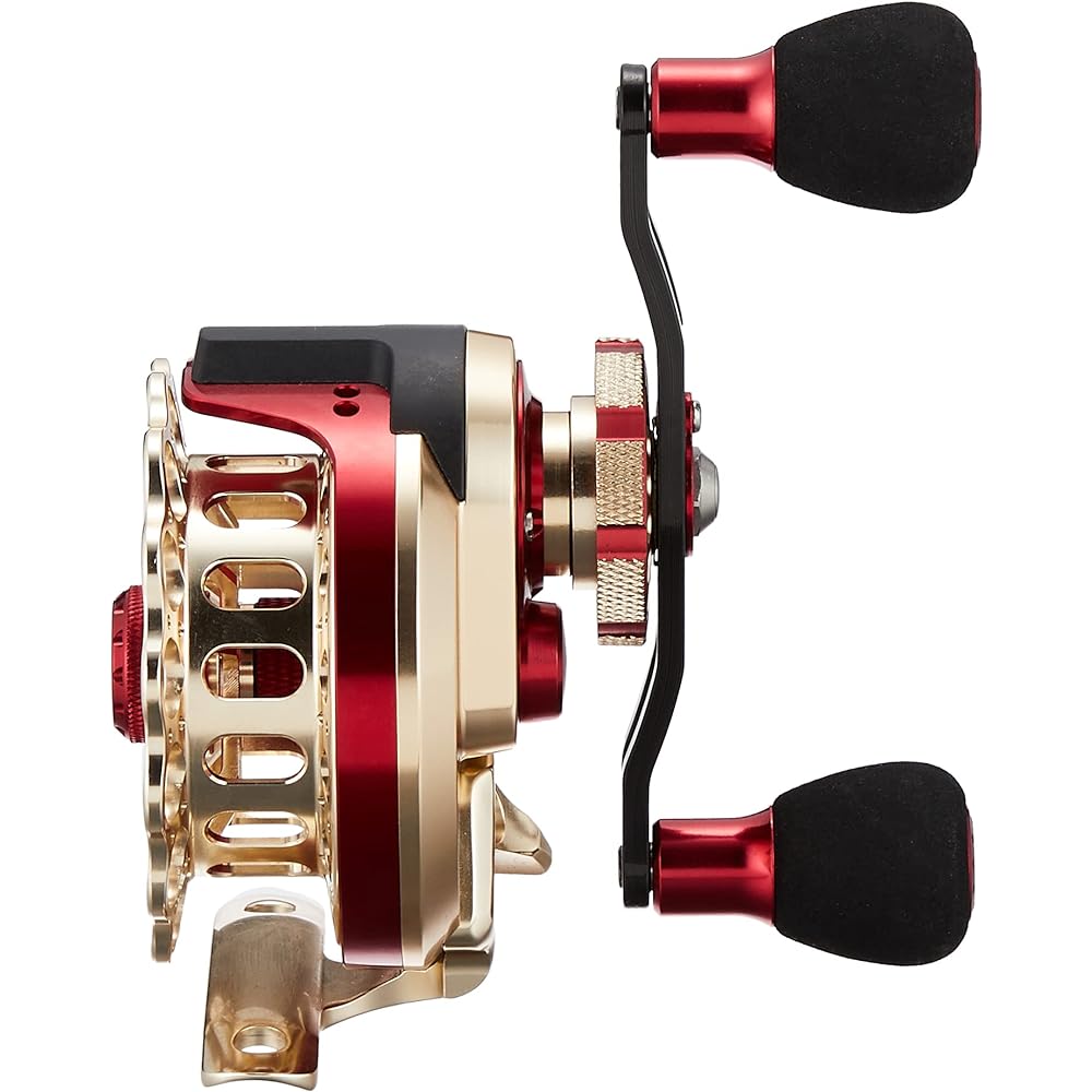 DAIWA Squid Reel 18 BJ Raft (Right/Left Handle) (2018 Model)