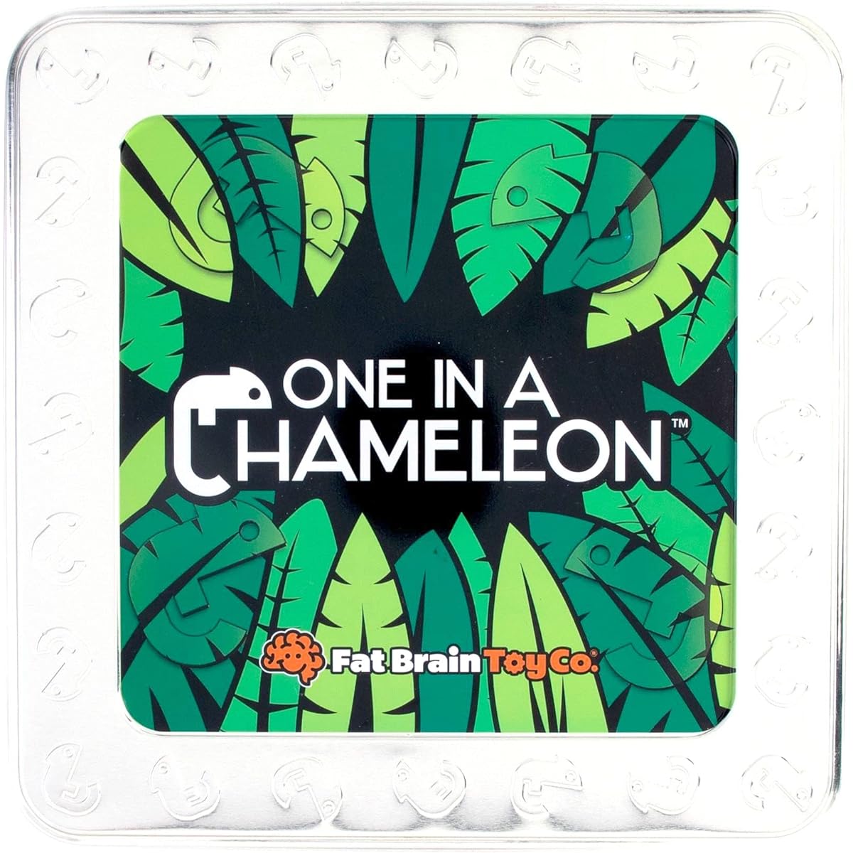 Fat Brain Toys Chameleon Brain Teaser for ages 8-10