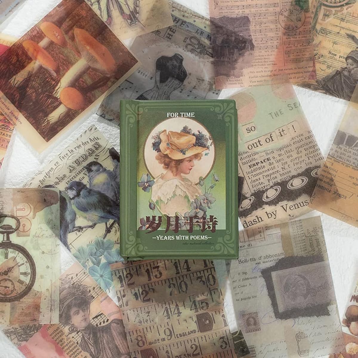 Old Fashioned Stuff of Vintage Stuff Scrapbook DIY Materials Paper Set Retro Letter Map Postcards Butterflies Birds Antique Journal Paper Supplies Decals