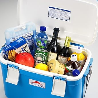 JEJ Astage Cooler Box Montana #25 W approx. 47.5 x D approx. 28 x H approx. 35.9 cm, small, cute, compact, stylish, cooler bag, insulated bag, camping supplies, festivals, leisure, sea, swimming