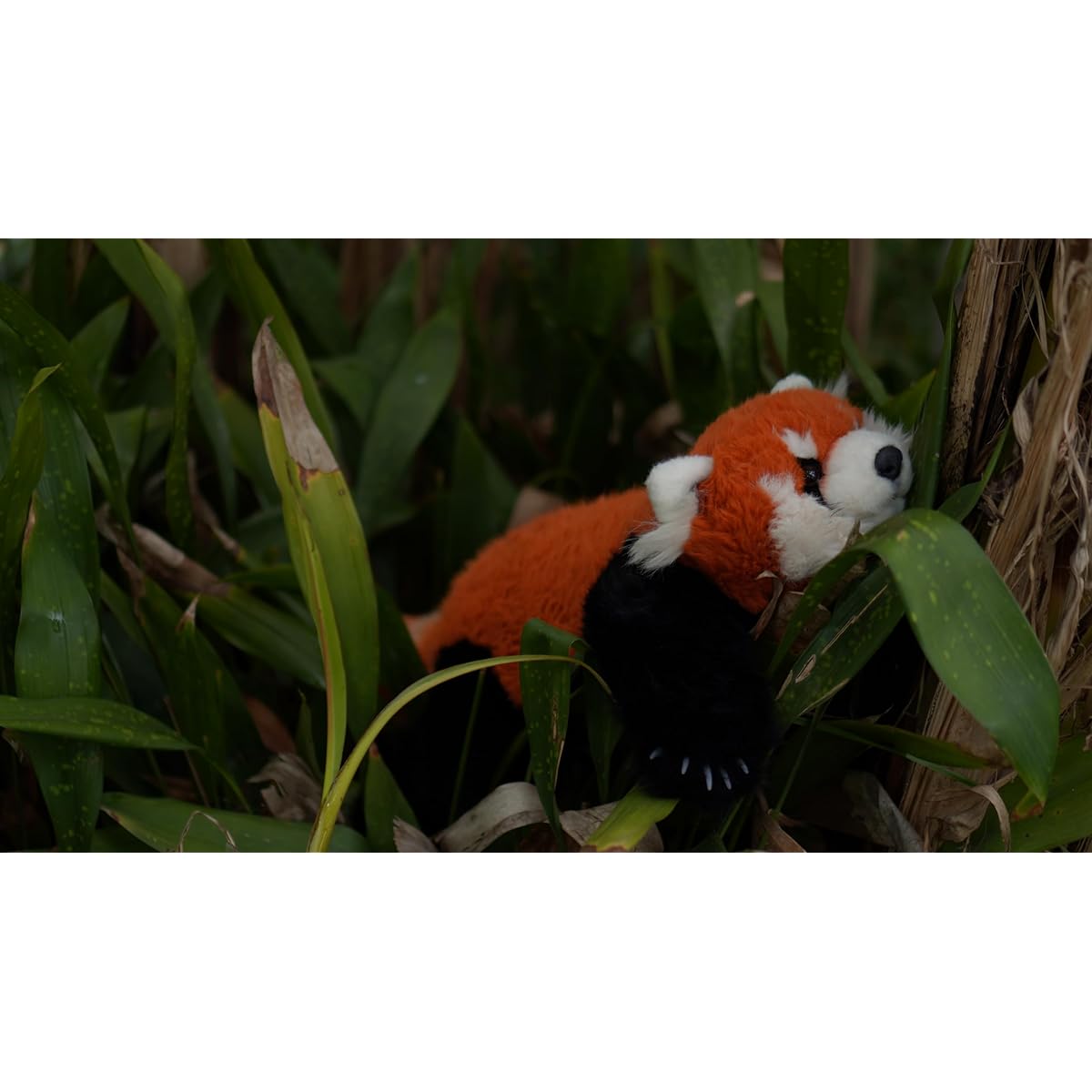 Chongker Red Panda Weighted Stuffed Animal Handmade Realistic Red Panda Stuffed Toy 2.5 lbs Companion Gift for Women, Adults, Kids, Animal Lovers