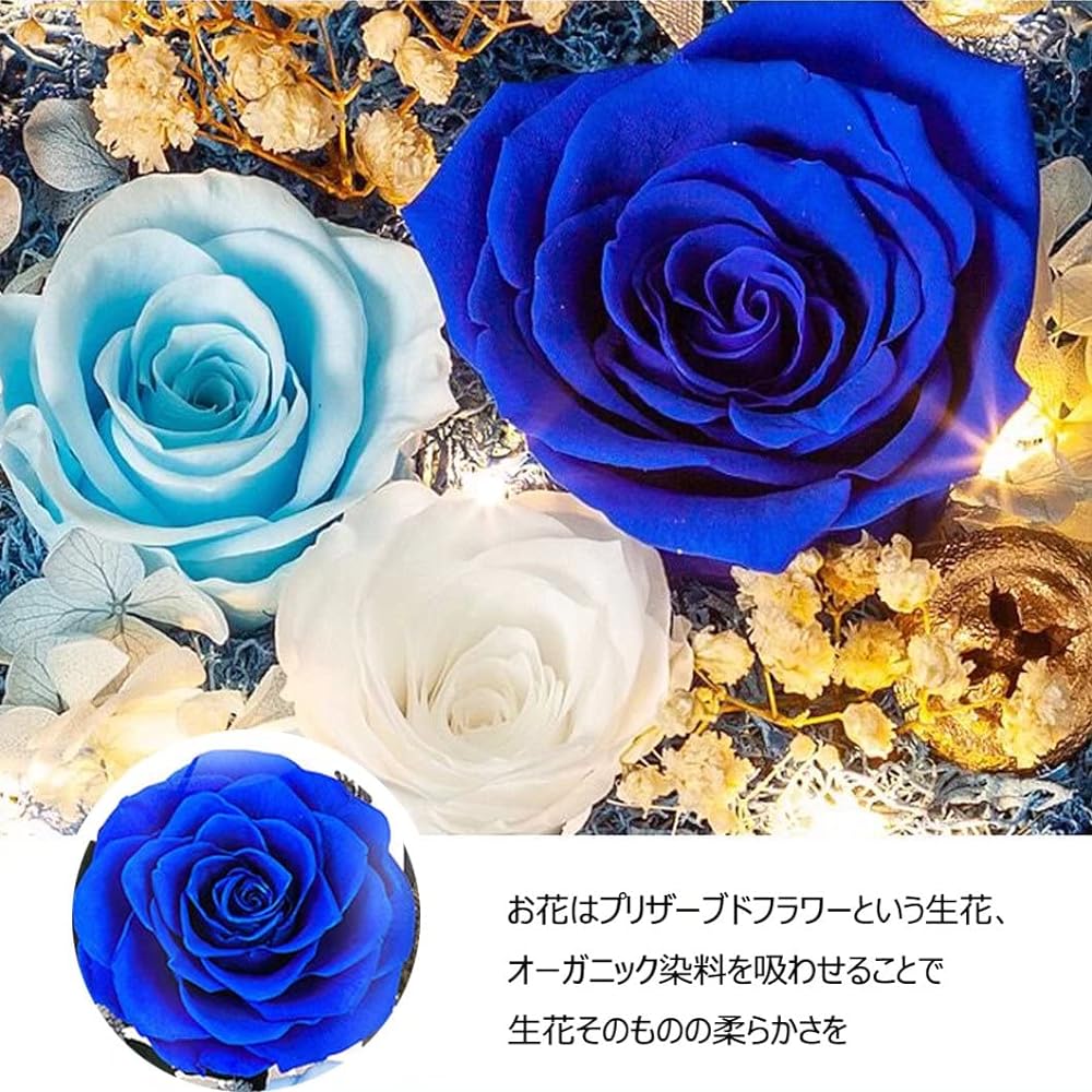 HIMENO Preserved Flowers, Cute, Rose, Blue Rose, Never Wither, Flower Message Card, Stylish, Glass Dome, LED Light, Beautiful, Beautiful Wooden Base, Hydrangea Romantic, Anniversary, Celebration,