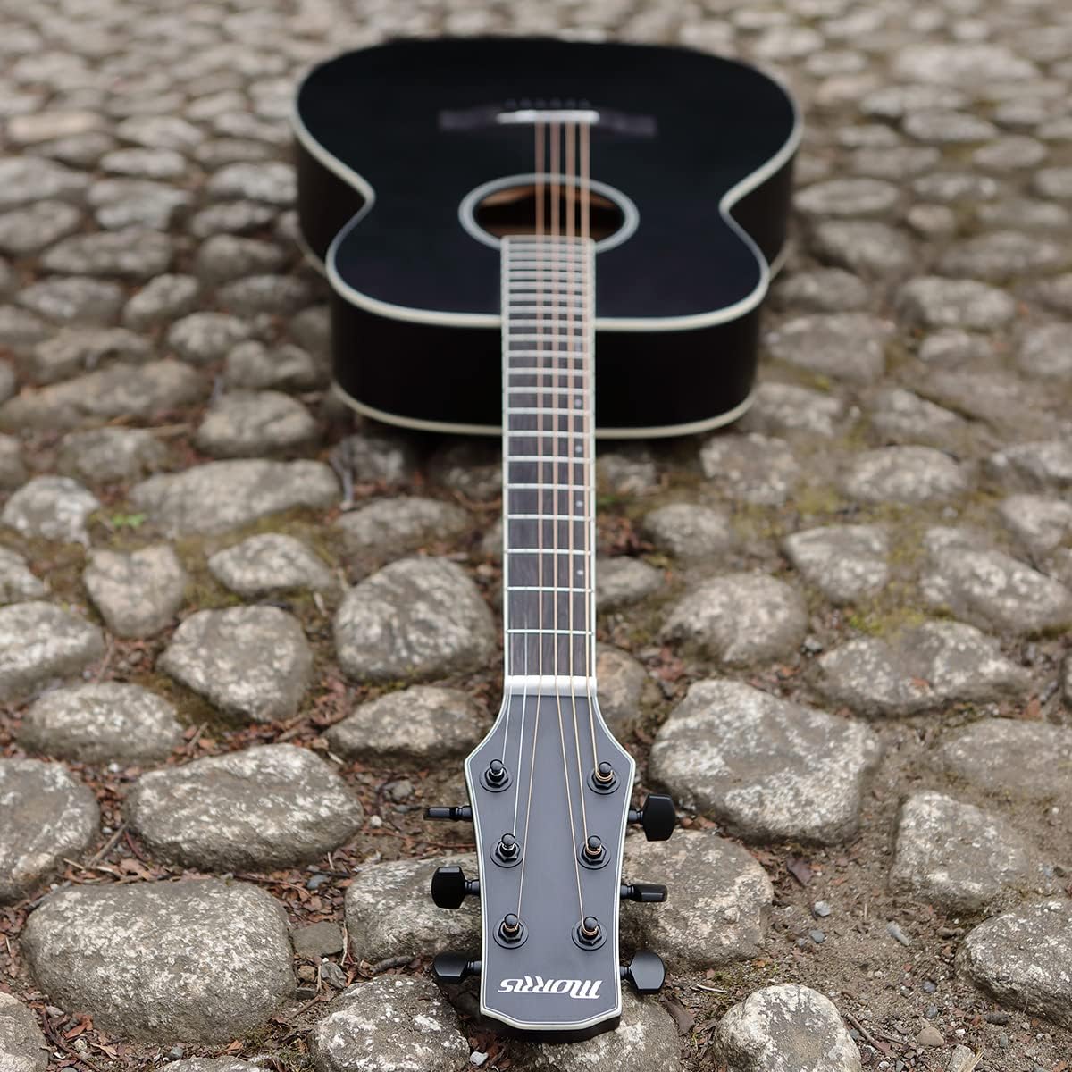 Morris Morris Perfomers Edition M-021 VS Acoustic Guitar Violin Sunburst Matte Matte Painting