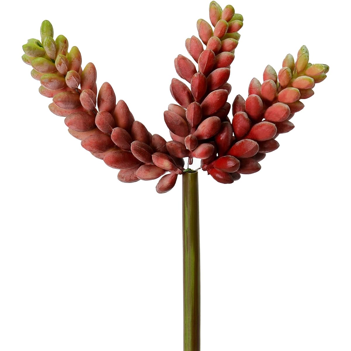 Vickerman Everyday 6" Indoor Artificial Red Jelly Bean Picks - Unique Succulent Picks Made from Durable PVC - Maintenance Free - 3 per Pack