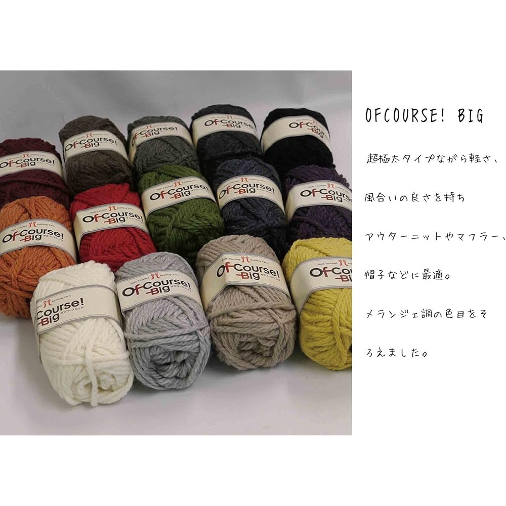 Hamanaka Off Course! Big Wool Super Thick col.101 White 50g Approx. 44m 10 Ball Set 0098