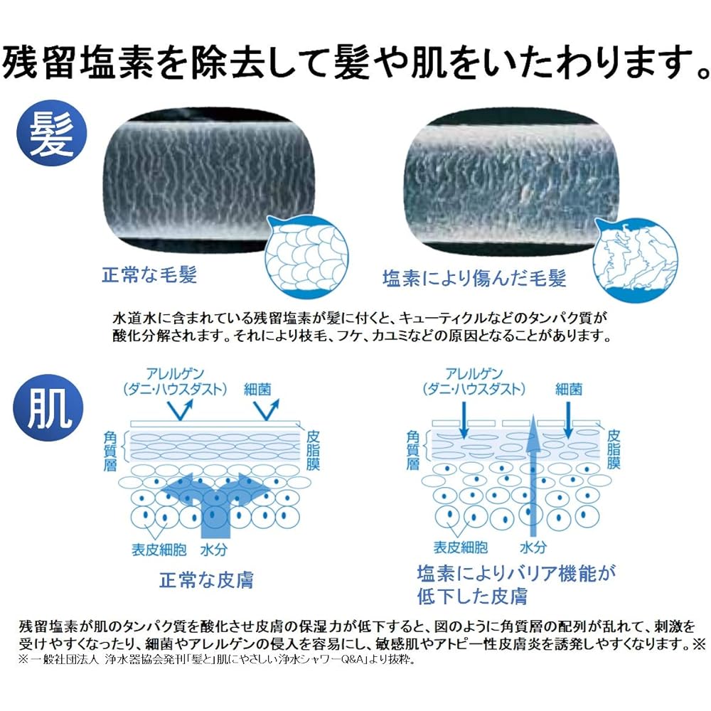 Trevino Toray Water Purifying Shower Head Treshower (Chlorine Removal / 30% Water Saving / 2 Cartridges / Mini Catalog Included) Japan Atopy Association Recommended Product RS53-2