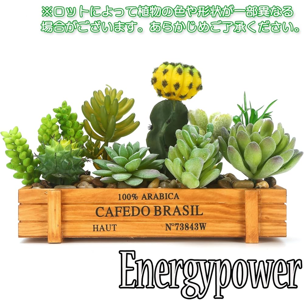 EnergyPower Faux Green, Artificial Succulent Plants & Cactus, 9 Types of Planting, Stylish Bonsai, No Watering, No Withering, Imitation Green, Photocatalyst, Odor Resistant, Easy Healing Space, Fun
