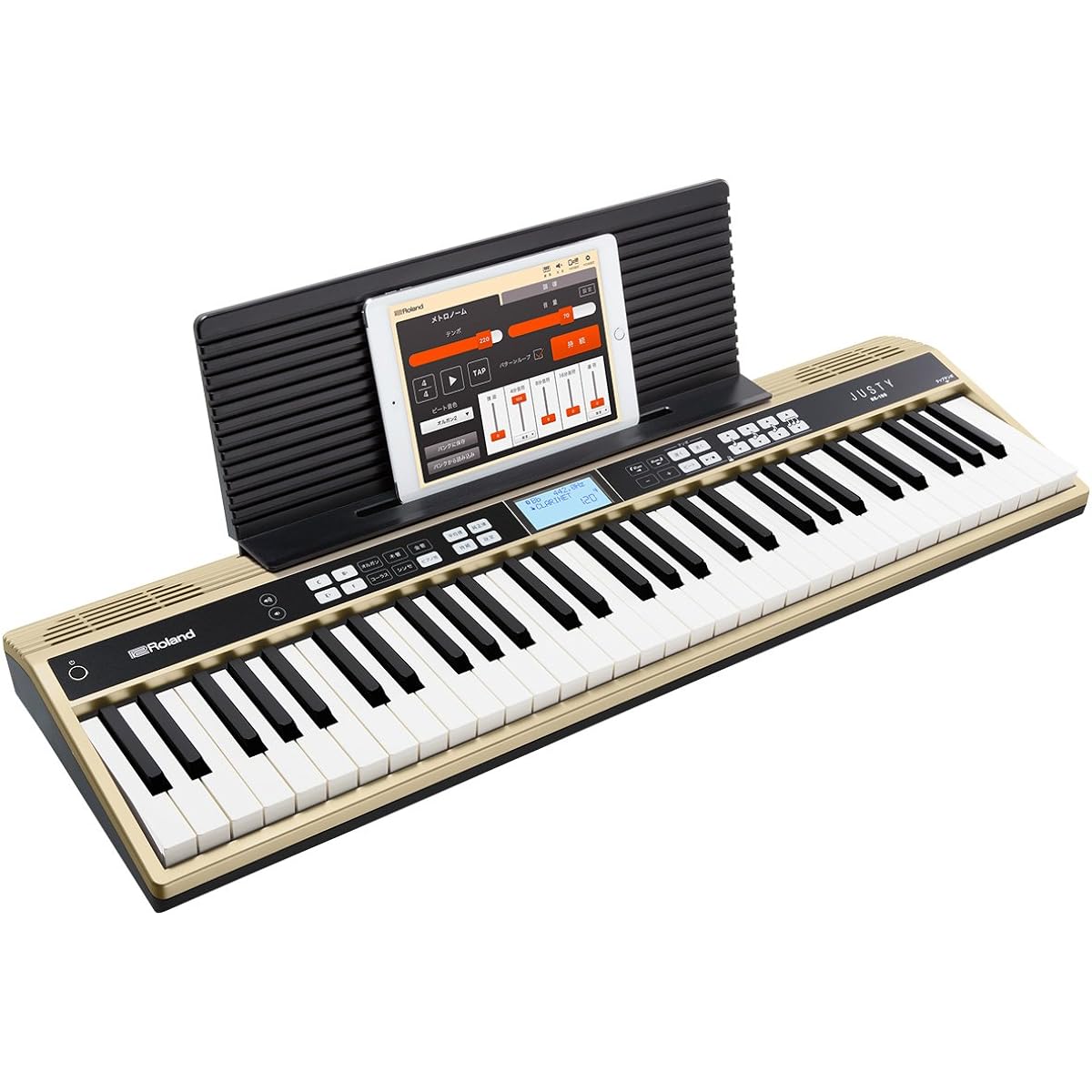 Roland Roland/JUSTY HK-100 Harmony & Rhythm Practice Keyboard