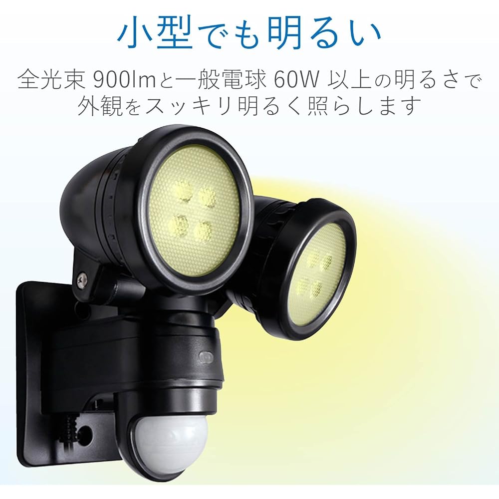 DX Antenna Delcatec Sensor Light 2 Light Type 900lm DSLD10B2