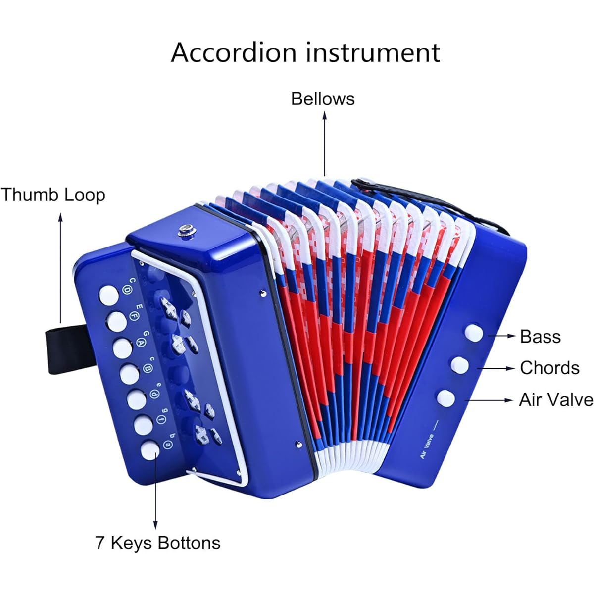 Kids Accordion 10 Key Button Accordian Musical Instrument Mini Accordion Gift for Beginners (Blue)