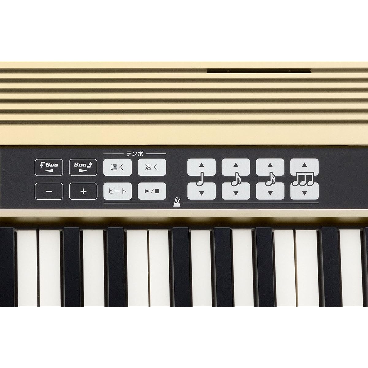 Roland Roland/JUSTY HK-100 Harmony & Rhythm Practice Keyboard