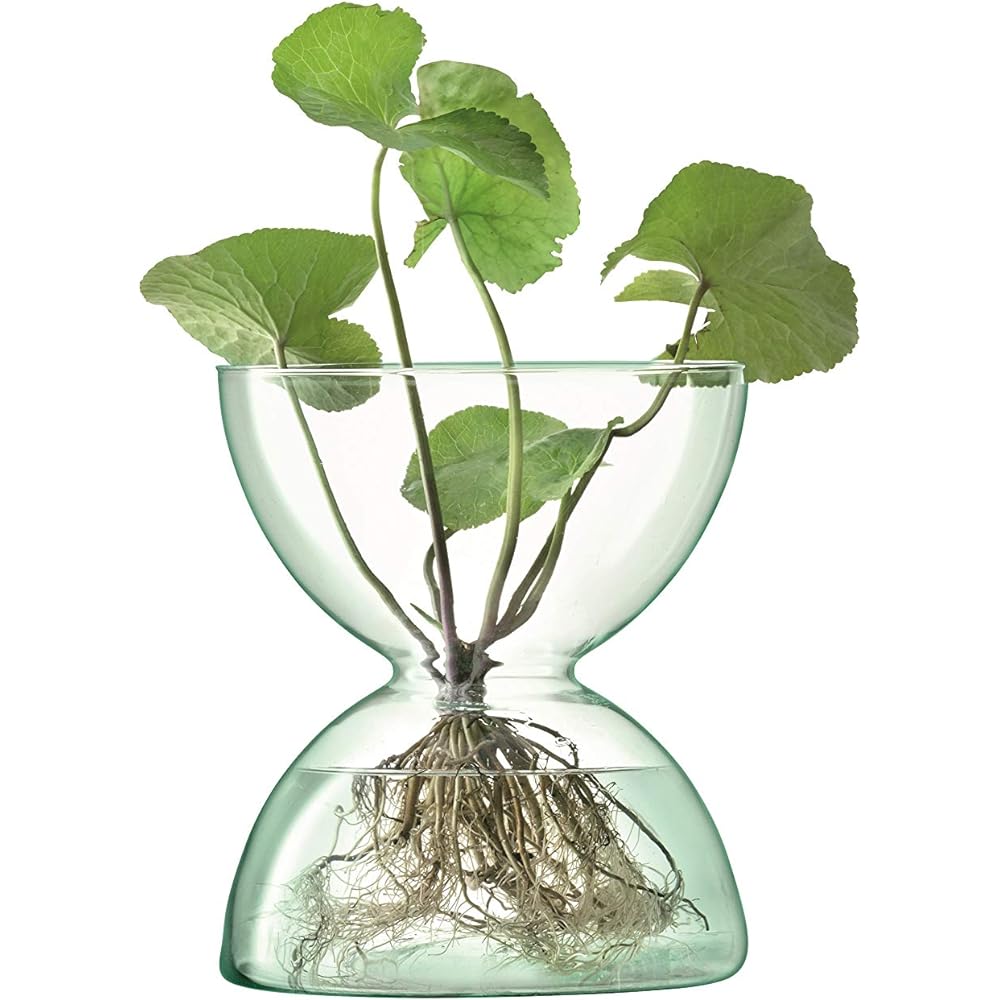 LSA Flower Vase Clear W20.5xD20.5xH24cm LSA LCQ10, G1585-24-161
