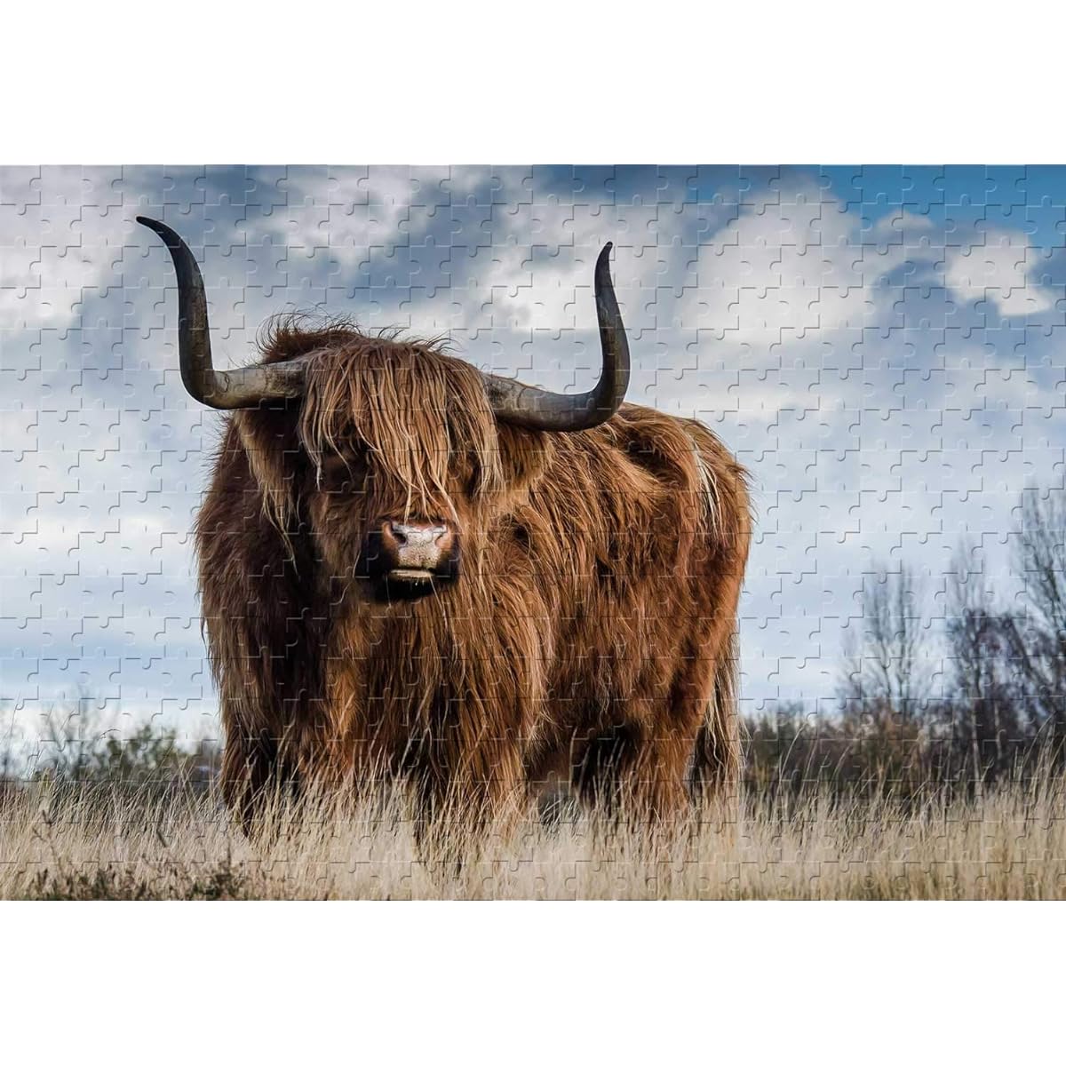 Cows in the Scottish Highlands 1000 Piece Jigsaw Puzzle 29.5 x 19.6 Inch Wooden Puzzle Developing Intelligence Game