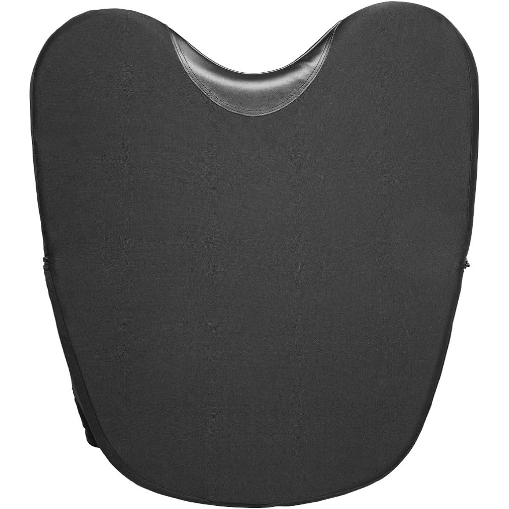 MIZUNO Baseball Umpire Protector 1DJPU13009 Black
