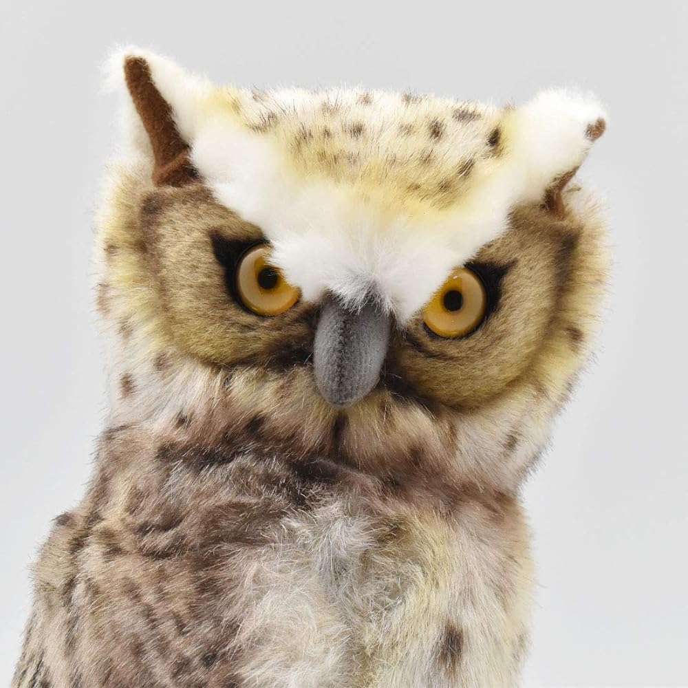 BH6767 HANSA Blakiston's Fish Owl 26