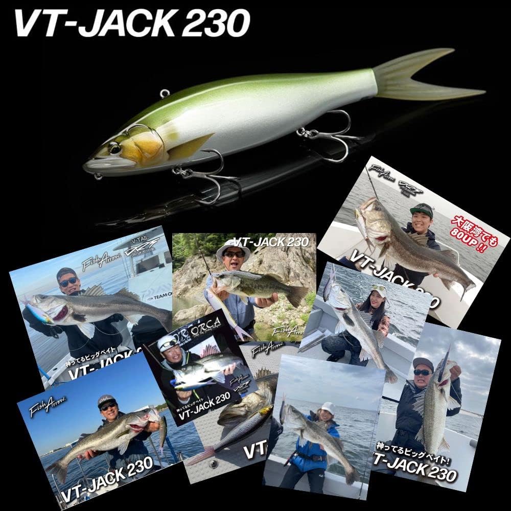 Fish Arrow Seabass Lure YT-JAKU VT Jack 230#09 Sardine