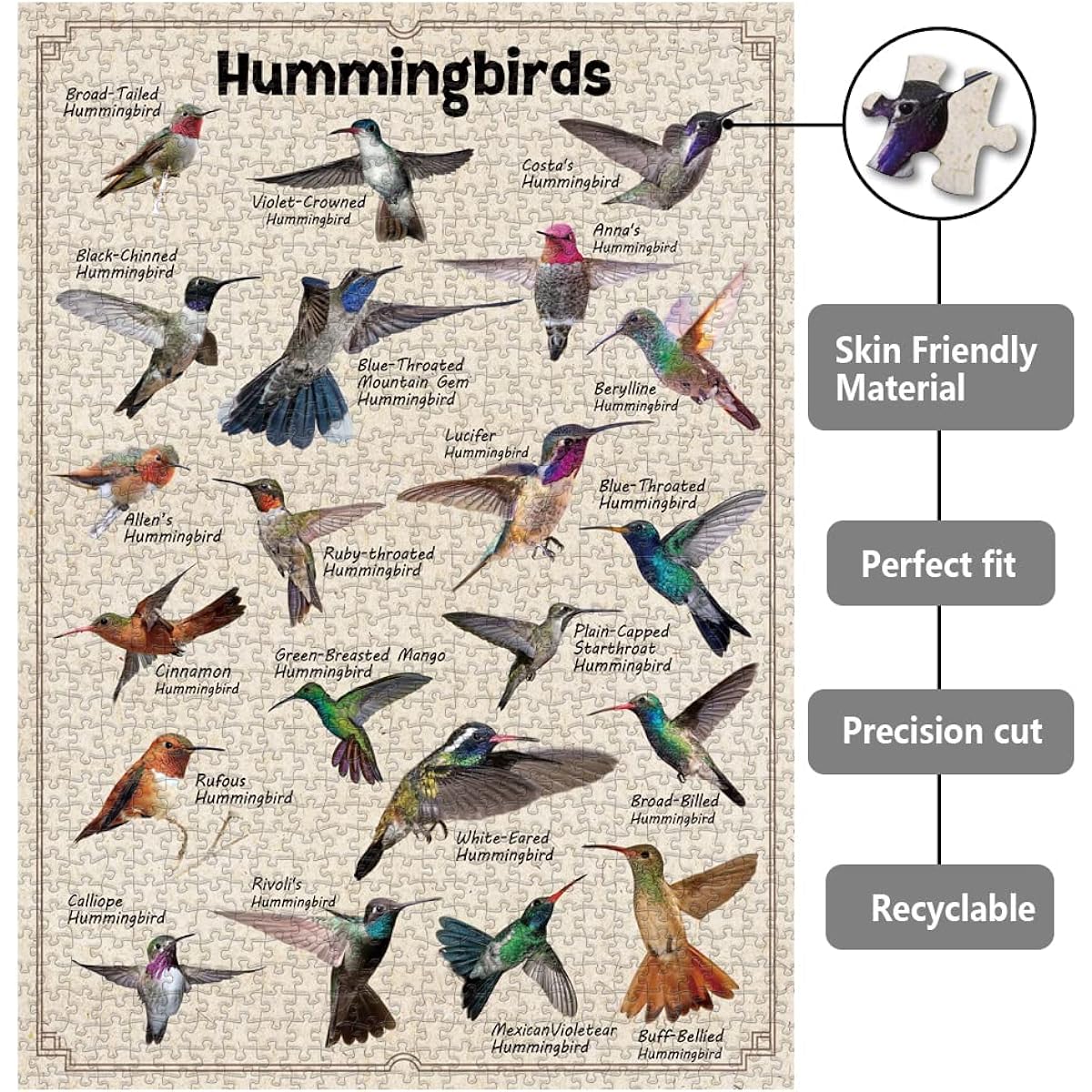 Hummingbird Puzzle for Adults - Over 1000 Pieces - Bird Puzzle Collecting 21 North American Hummingbirds - Bird Themed Jigsaw Puzzle - Great Gift for Bird Lovers