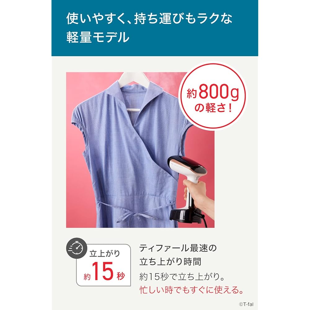 Tefal Powerful Continuous Steam Average Approx. 13g/min Clothes Steamer Dedicated Model "Access Steam Pocket" Rise Approximately 15 Seconds Steam Iron DT3030J0