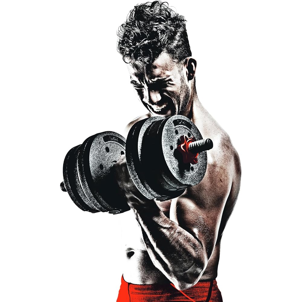 La-VIE Mega Dumbbell 10kg 20kg Variable Dumbbell Set Muscle Training [Manufacturer Genuine Product]