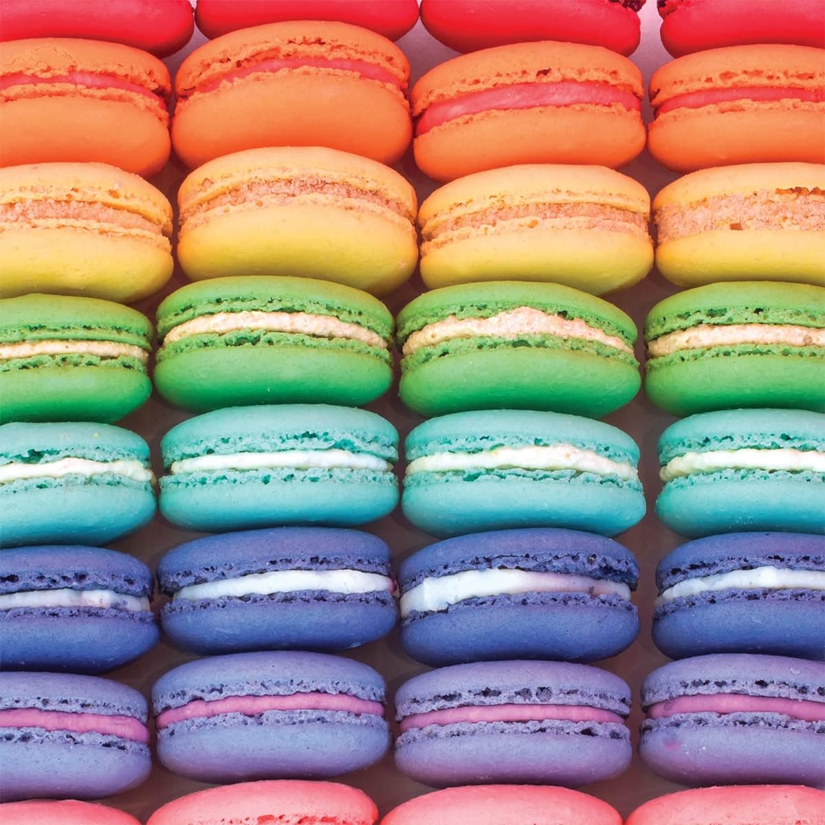 Buffalo Games - Macaron Spectrum - 300 Large Piece Jigsaw Puzzle
