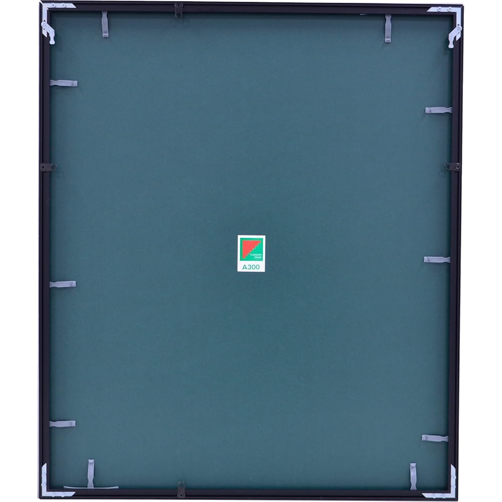 FUJICOLOR Picture Frame A300 All Paper Aluminum Black 39682