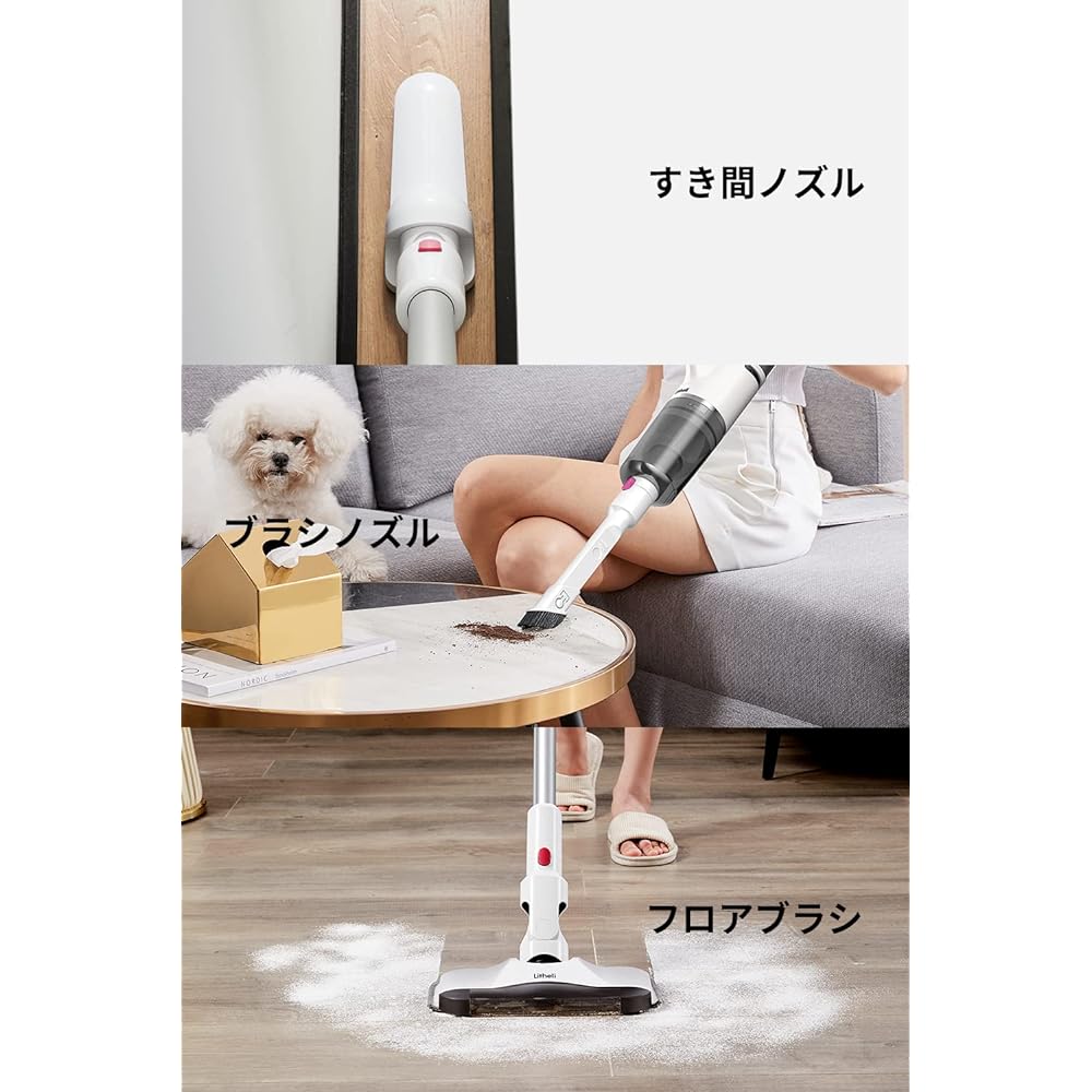 Litheli Cordless Vacuum Cleaner Stick Cleaner Battery Removable
