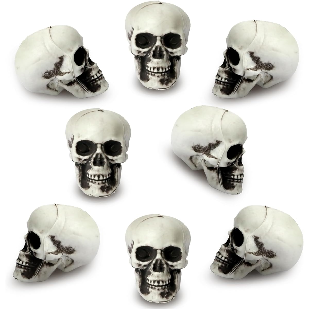 KatchOn 8 Pack Halloween Mini Skeleton Heads, Small Skulls for Halloween, Human Skulls for Tables, Small Skulls for Crafts, Small Skulls for Halloween Table Centerpieces