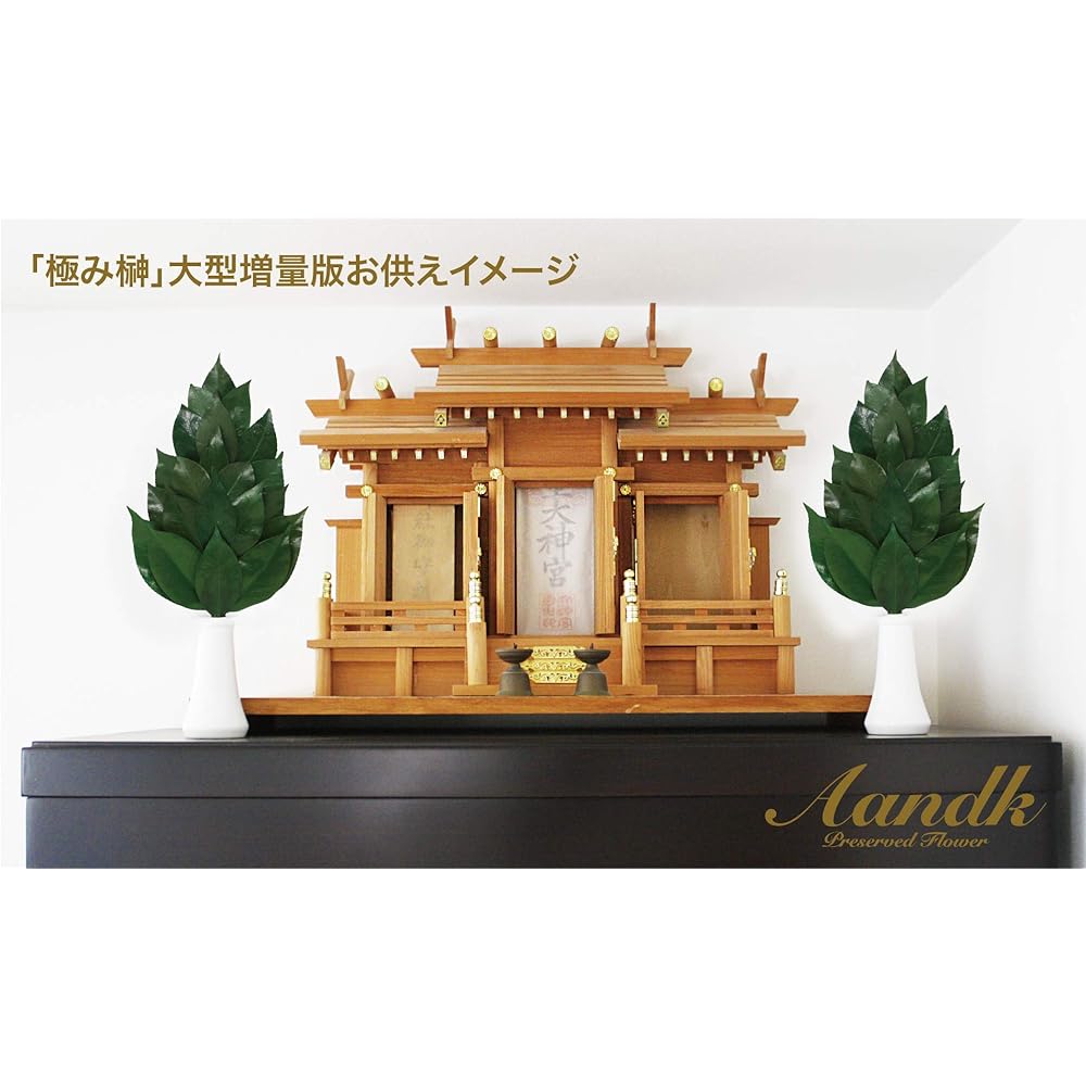 [A&amp;K] Sakaki, Extra Large, Thick-Shing, Type, 1 Pair (Uses Fresh Leaves) Preserved Sakaki (Made with Premium Camellia Leaves from Tanba) < Utility Model Registration No. 3222297> Handmade, Handmade,