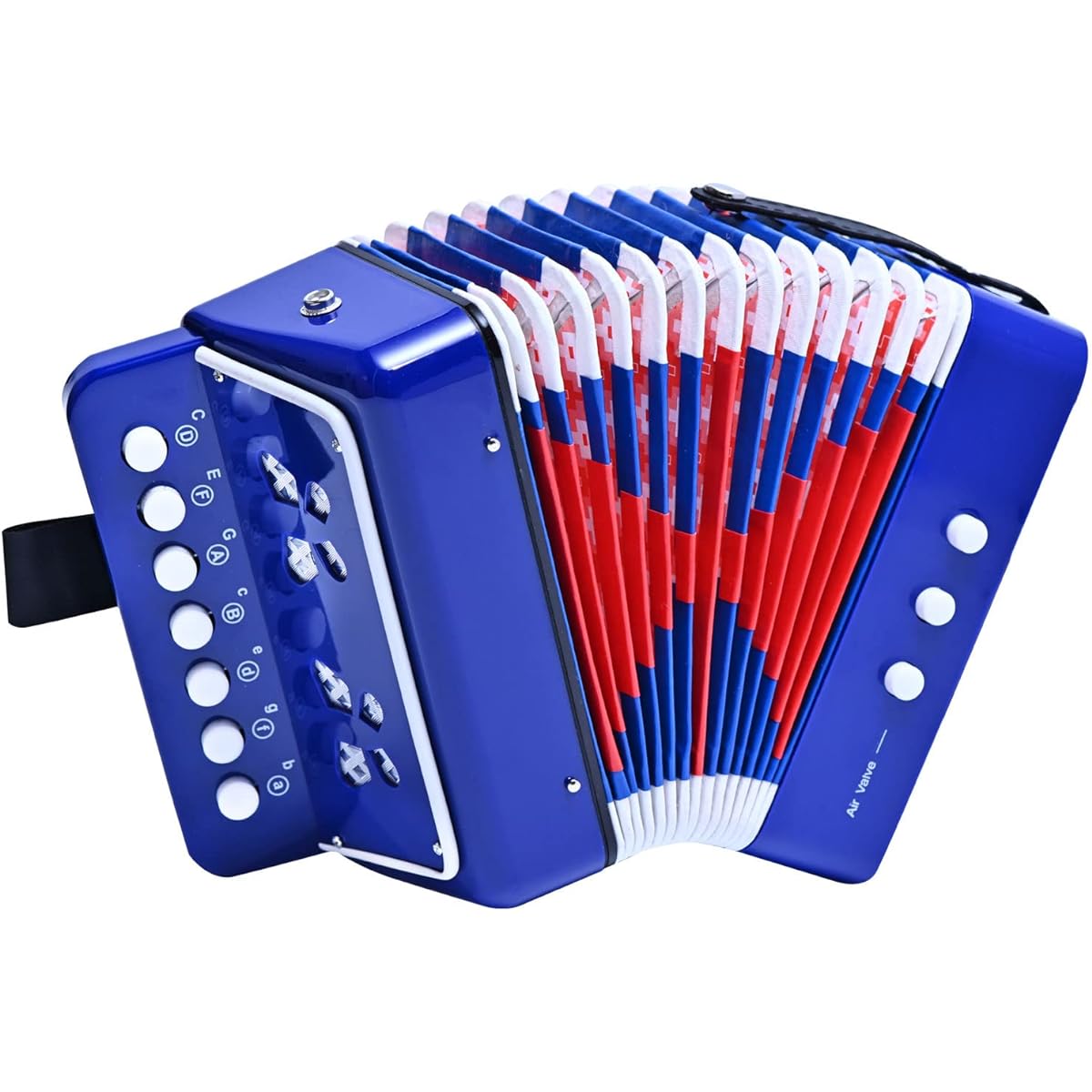 Kids Accordion 10 Key Button Accordian Musical Instrument Mini Accordion Gift for Beginners (Blue)