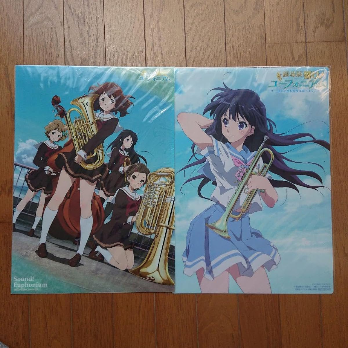 Sound Euphonium A3 Clear Poster Set of 2 4