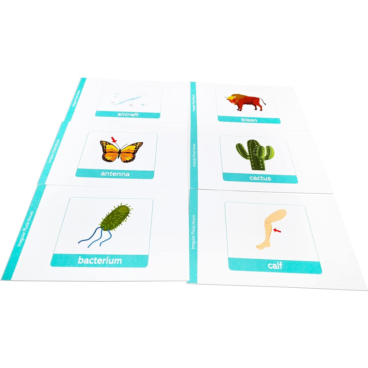 50 English Irregular Polygon Nouns Flashcards.