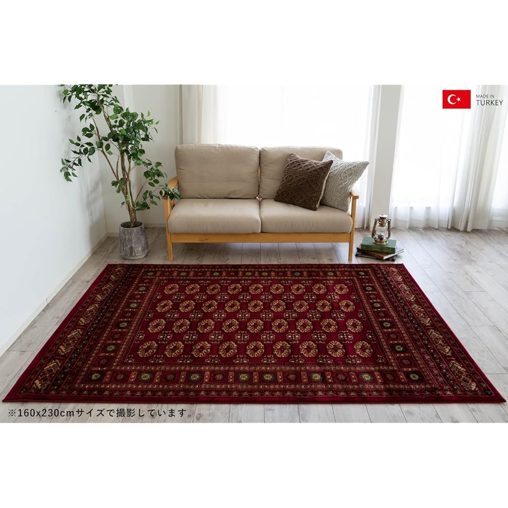 Sayang Sayan Bohara Pattern Rug Rug Legend III 160x230 3 Tatami Red Wilton Weave