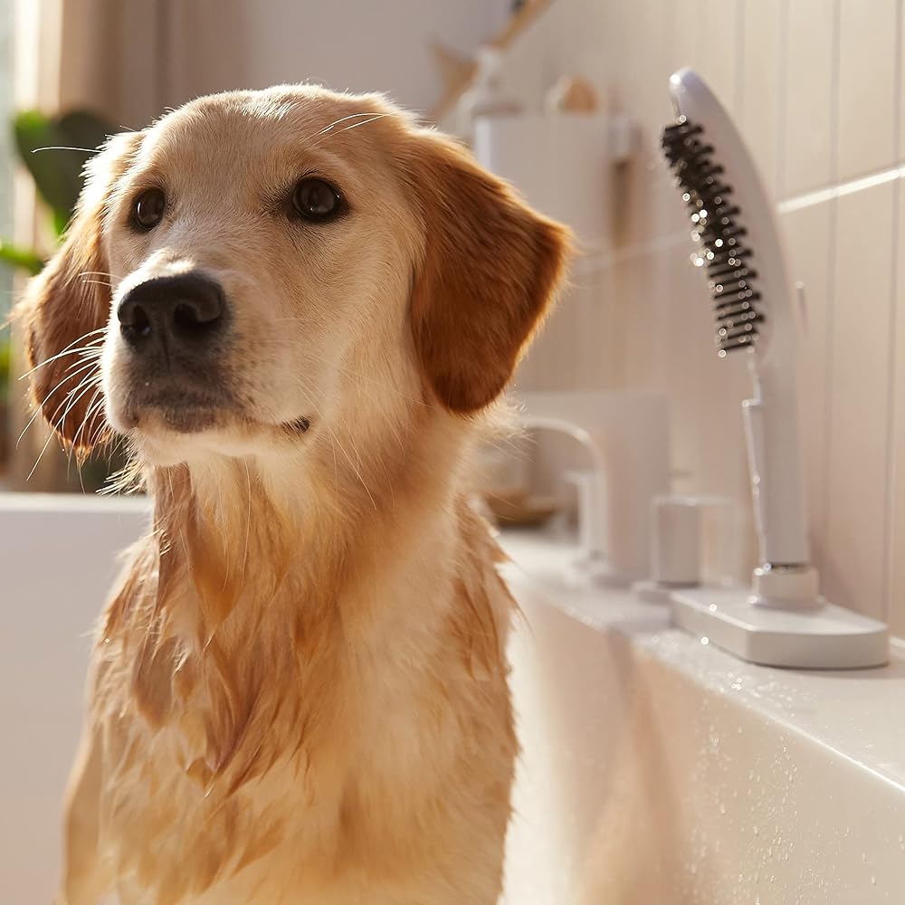 Hansgrohe DogShower150 MW White