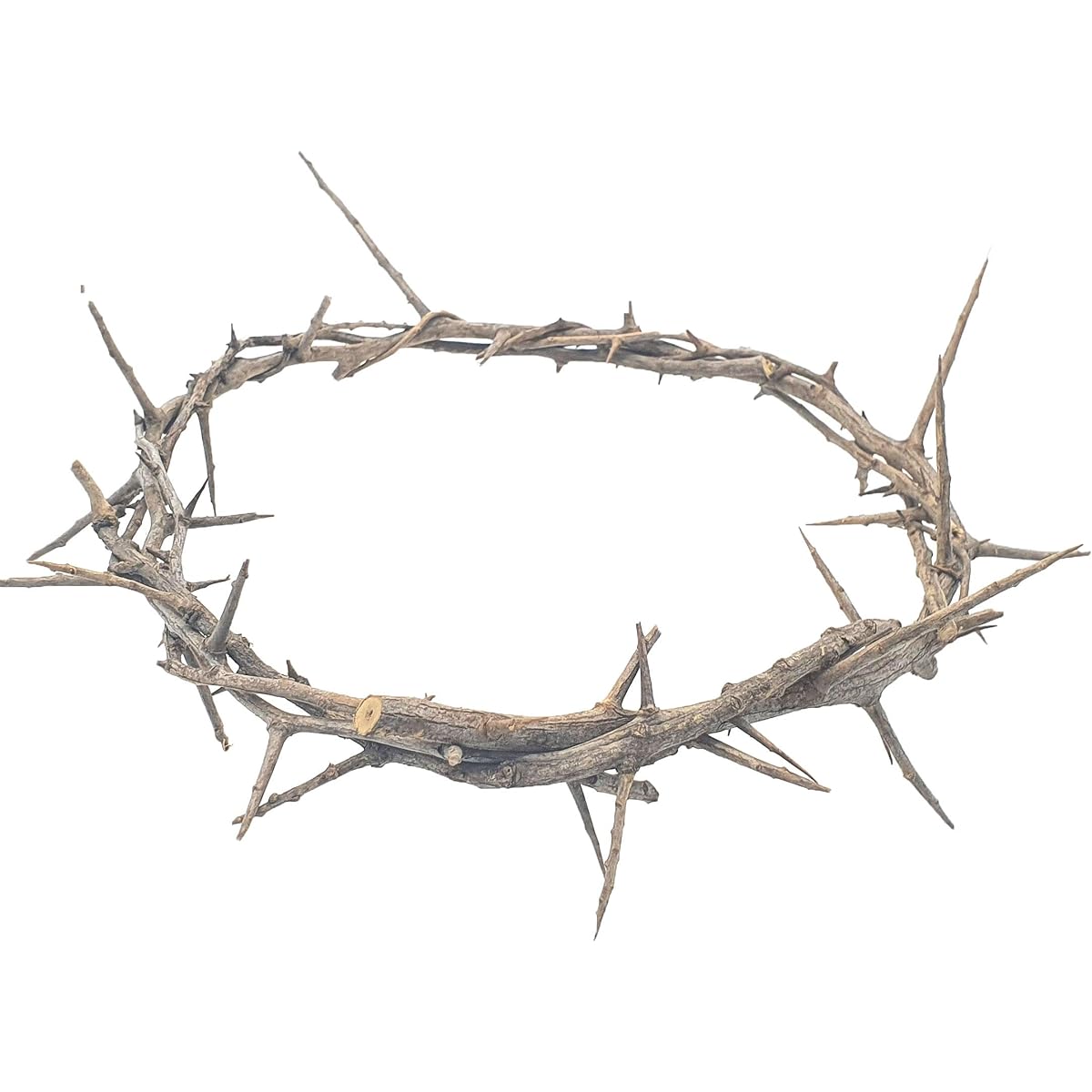 Jerusalem Authentic Bible Life Size Authentic Crown of Thorns with Box & Zulf Certificate | Religious Easter Wreath Home Decoration Tree Topper | Jesus Christ Wall Decor Christmas Christian Gift | HLG214