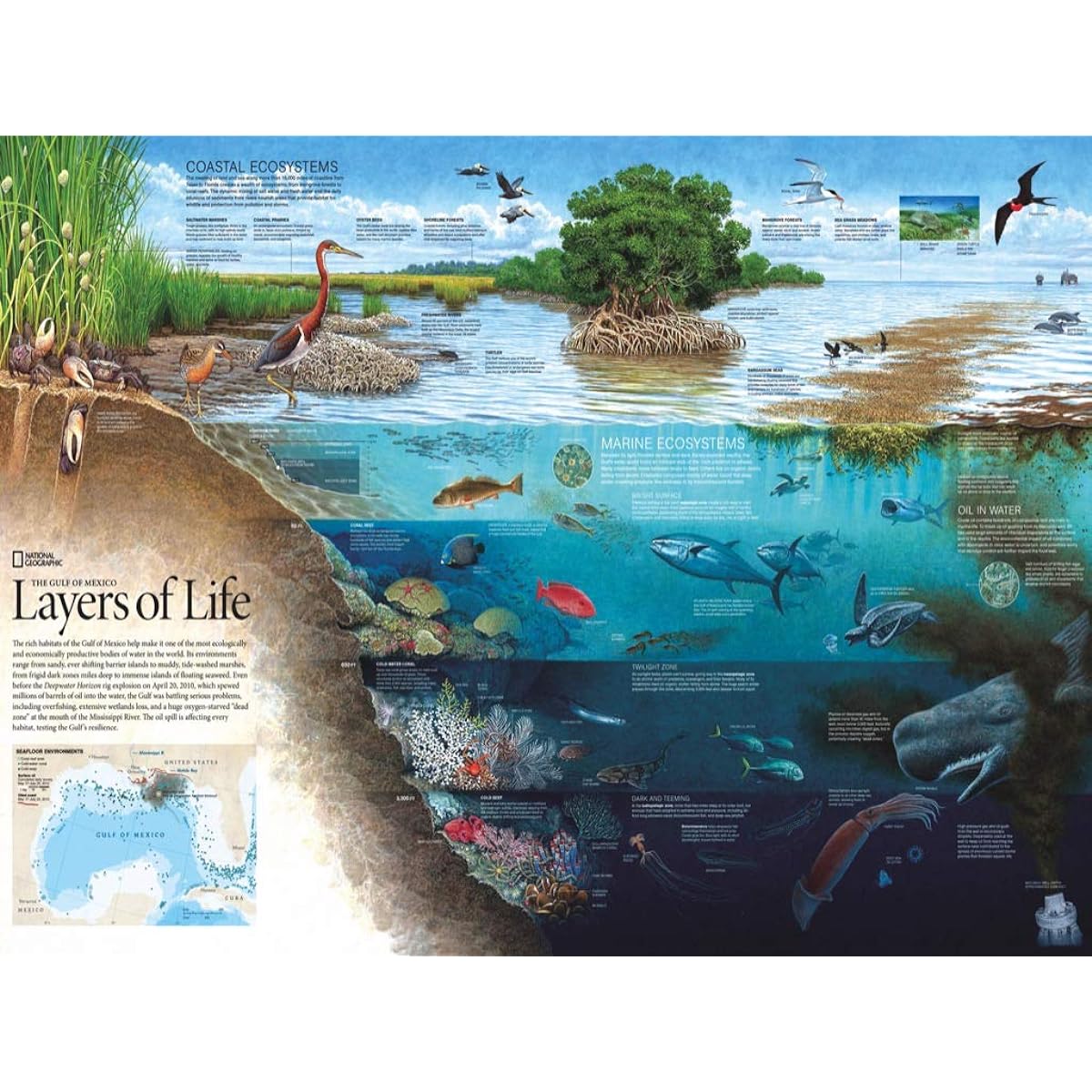 New York Puzzle Company – National Geographic Layers of Life – 1000 Piece Jigsaw Puzzle