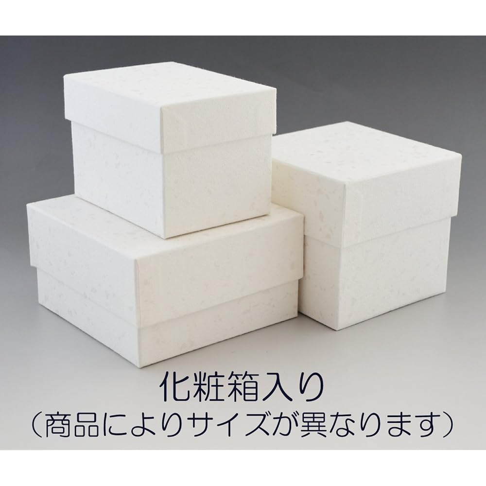 Kyoto ware Kiyomizu ware teacup cream diameter 9.5cm Yanagi kiln teacup tea bowl set (presentation box included) Honkobiki QYA252