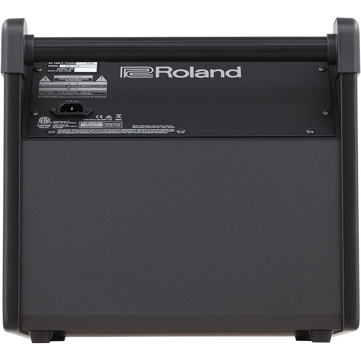 Roland Personal Monitor Roland PM-100