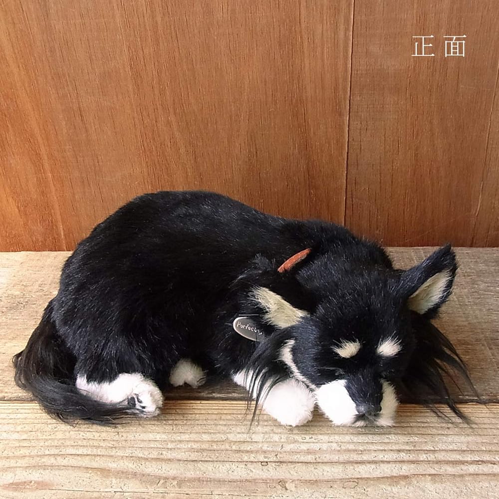 Nini and Kino Perfect Pet (Small Size) Chihuahua Long (Black Tan) Stuffed Toy Dog Dog Realistic Just Like the Real Miscellaneous Goods Animal Healing Moving Present Gift Celebration Cute Dog Stuffed Toy