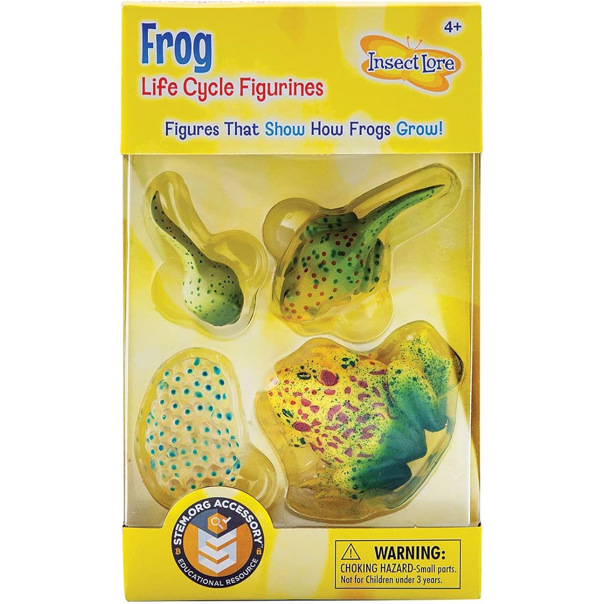 Life Cycle Stages-Frog (Parallel Import)