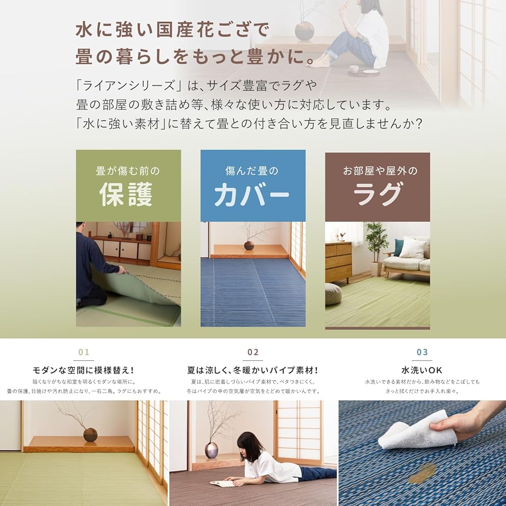 Hagiwara Washable Rush Style Carpet Green Edoma 6 Tatami Approx. 261 x 352 cm "Ryan" Japanese Modern Made in Japan