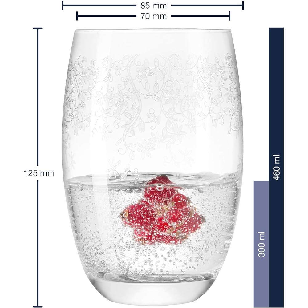 LEONARDO Tumbler Clear 460ml Set of 6 Tumblers Chateau 061593