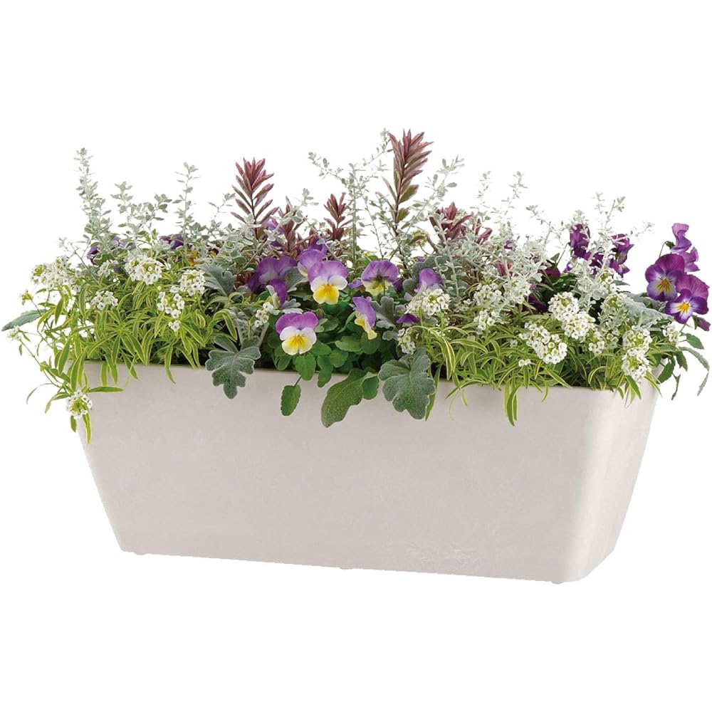 [Case sales] Richell Botany Planter 65 type DG 4 pieces