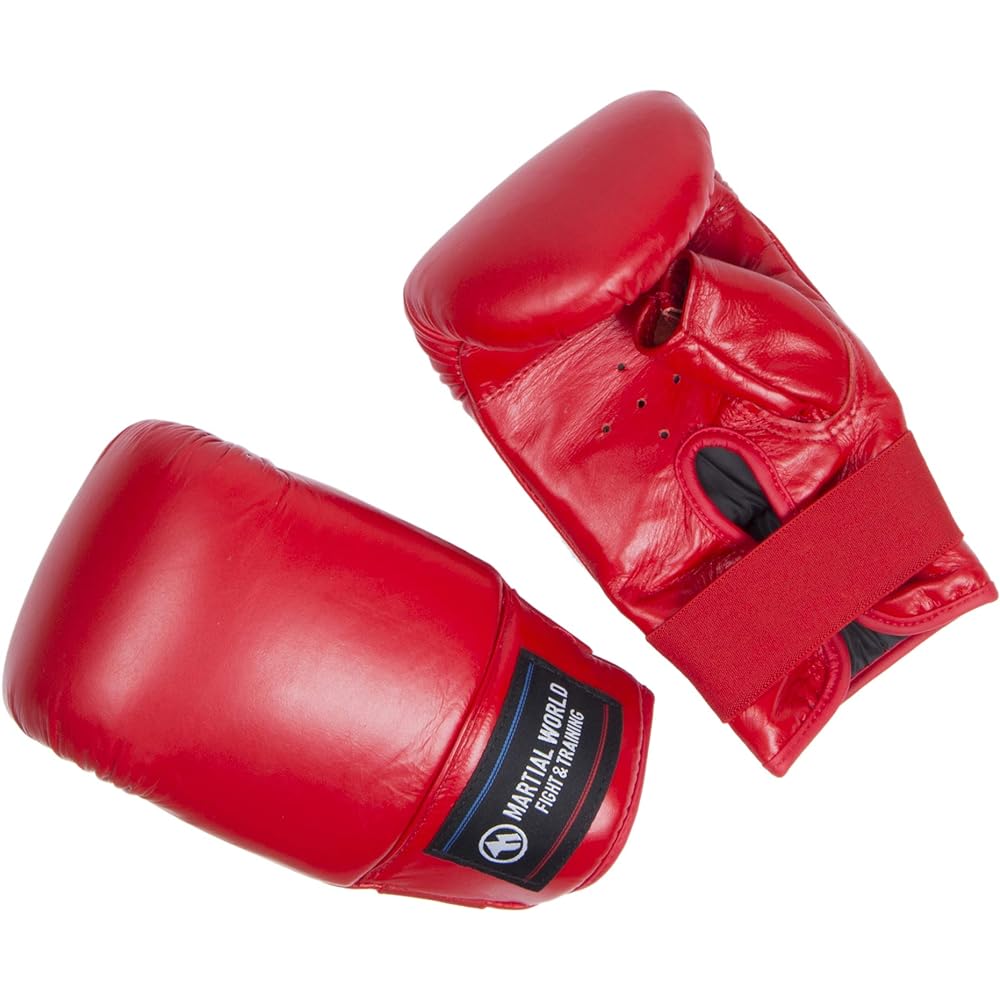 Martial World (MARTIAL WORLD) Punching Gloves 2 PGPROII