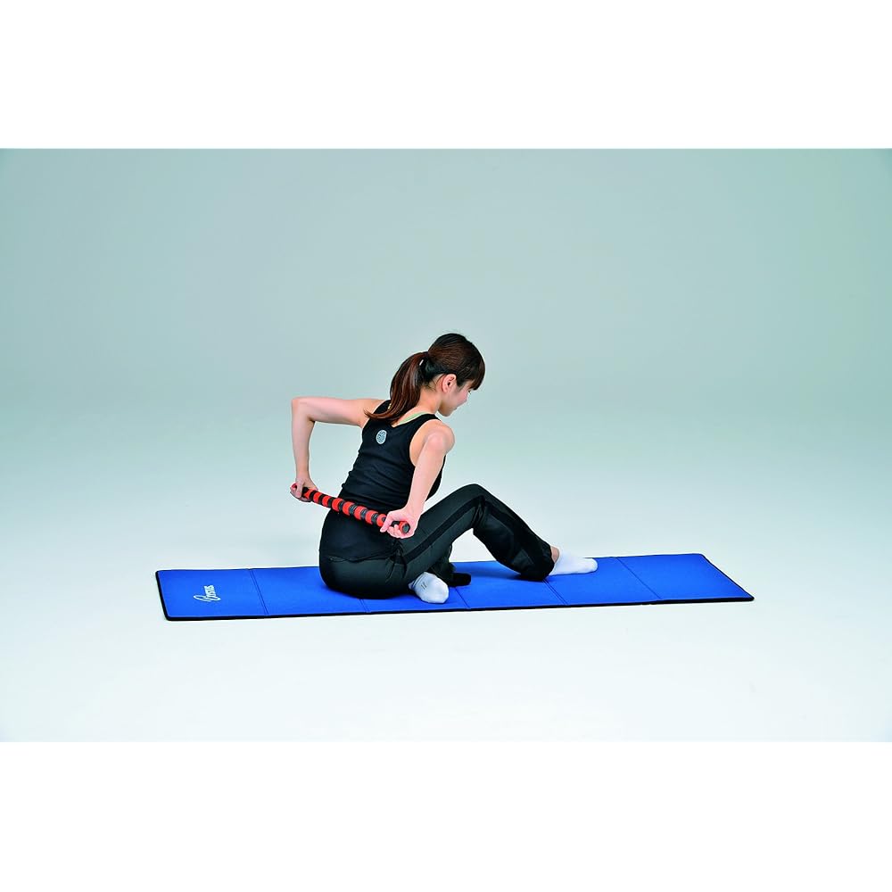 TOEI LIGHT Massage Stick Roller H7253
